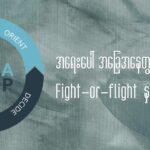 အရေးပေါ်အခြေအနေတွင် သိထားသင့်သော Fight-or-flight နှင့် OODA စက်ဝိုင်း