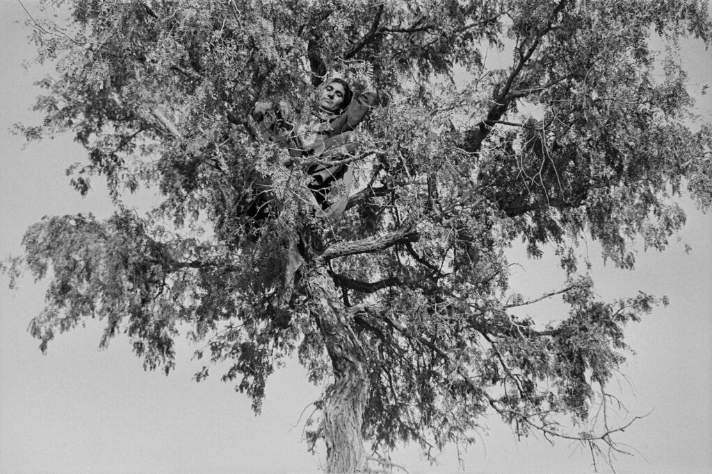 Izmat, Barmer, 1999-ongoing