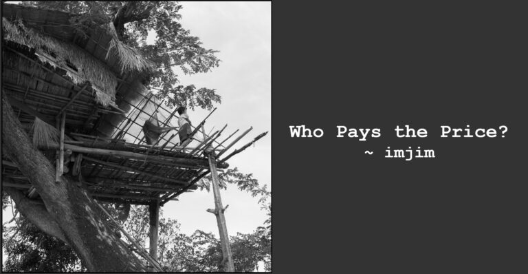 Who Pays the Price?