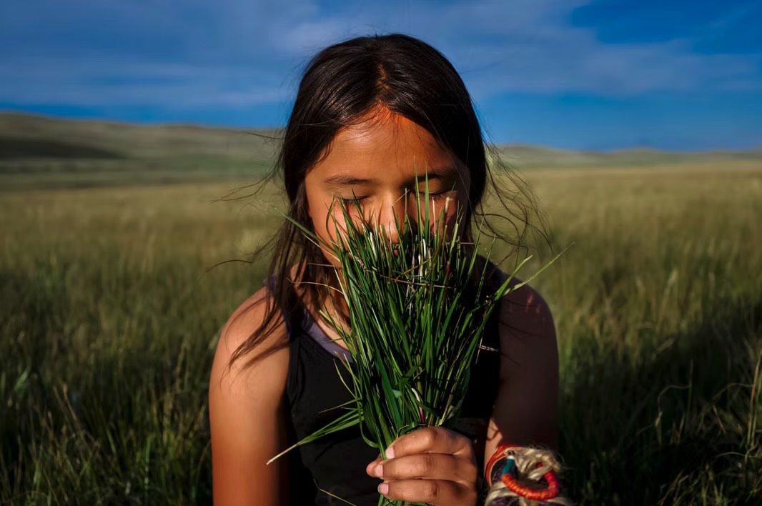 Open Call: The Vital Impacts Environmental Photography Fellowships 2027